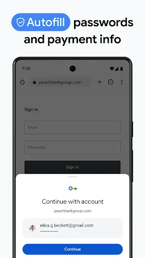 Google Chrome screenshot 2