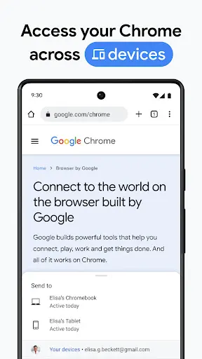 Google Chrome screenshot 5