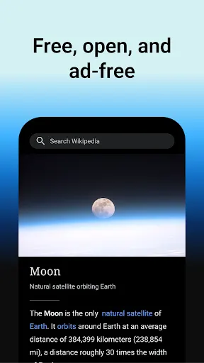 Wikipedia screenshot 1