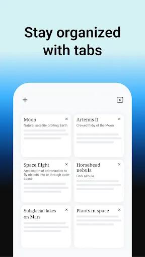 Wikipedia screenshot 2